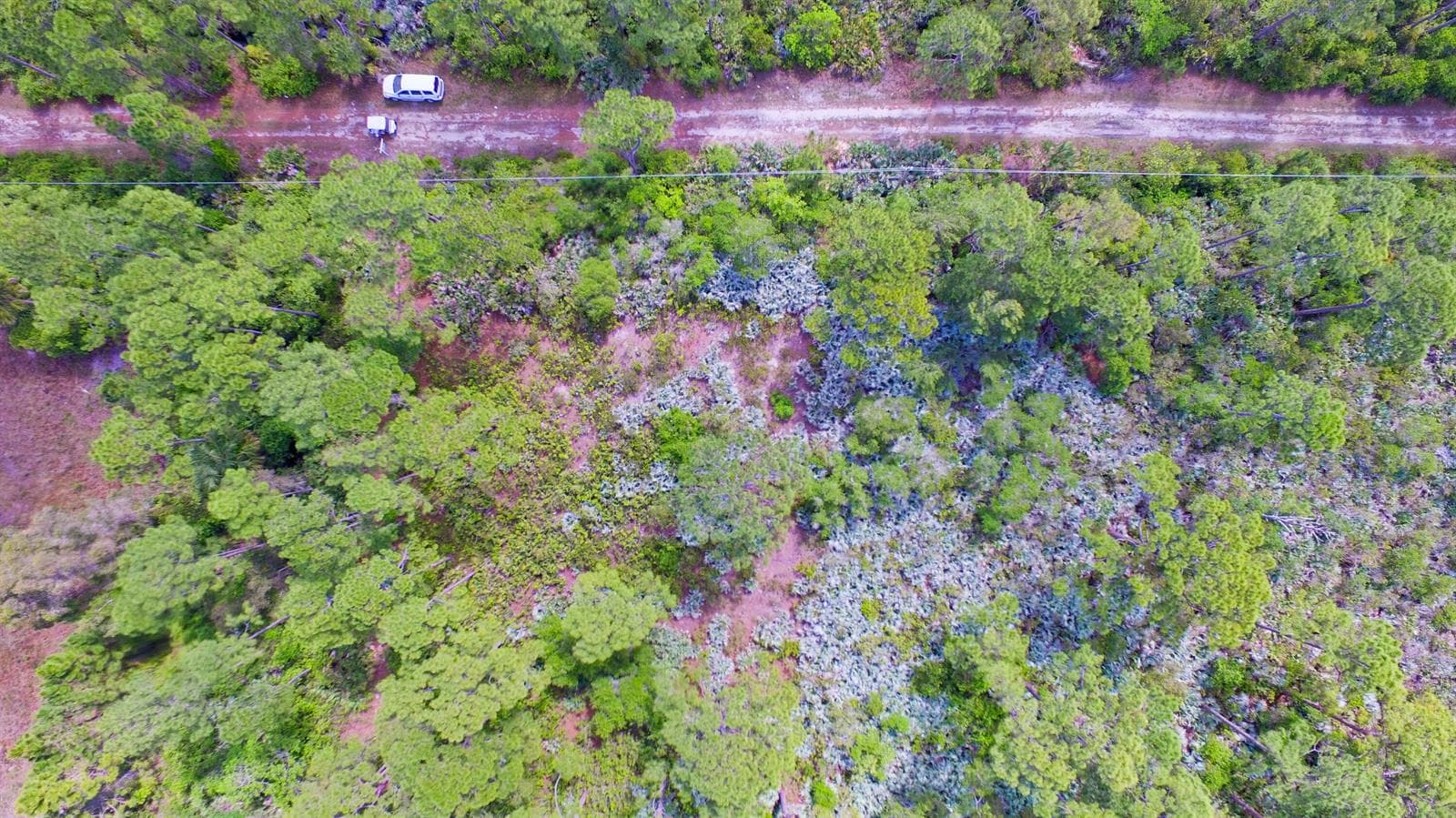 DJI_0001