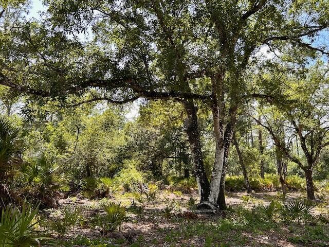 1116 Belmonte Drive, FL 33855