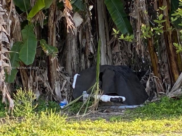 UNINCORPORATED, Miami FL 33187