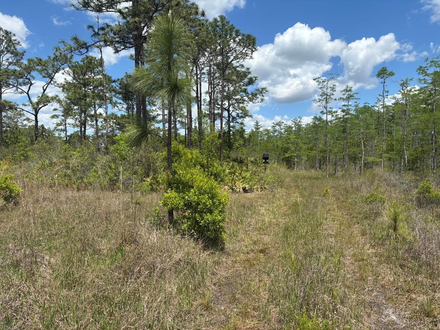 0 Holopaw Groves Road, FL 34772