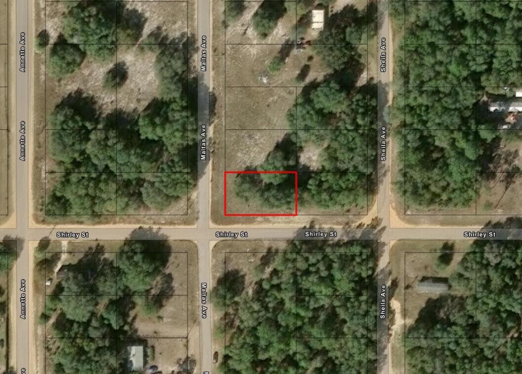 0 Shirley Street, FL 32148