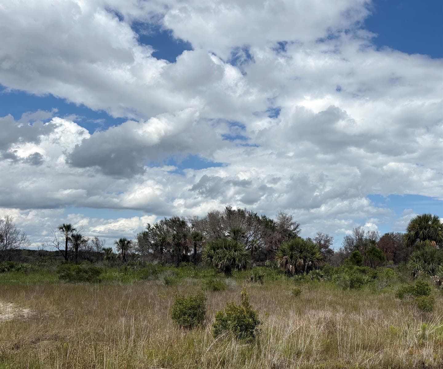 17275 NW 308th Street, Okeechobee FL 34972