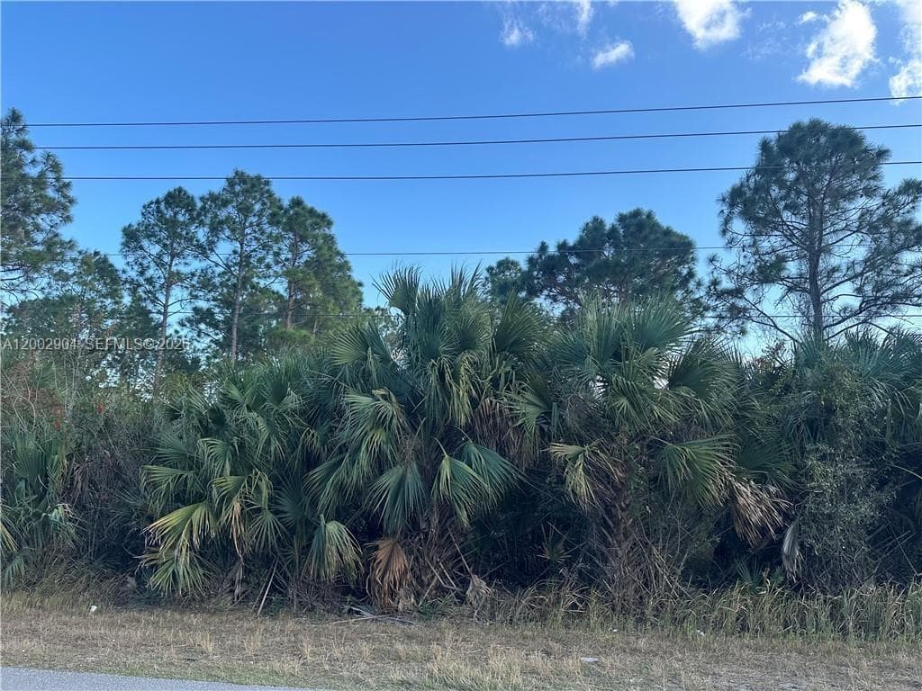 665 Woodcrest, Lehigh Acres FL 33972