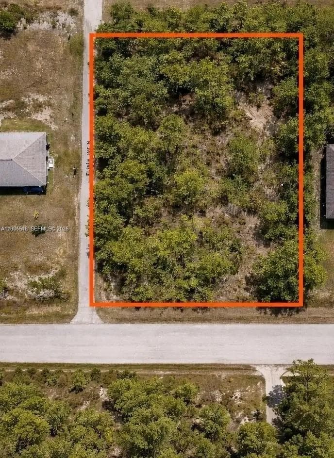 2910 Elaine Ave N, Lehigh Acres FL 33971