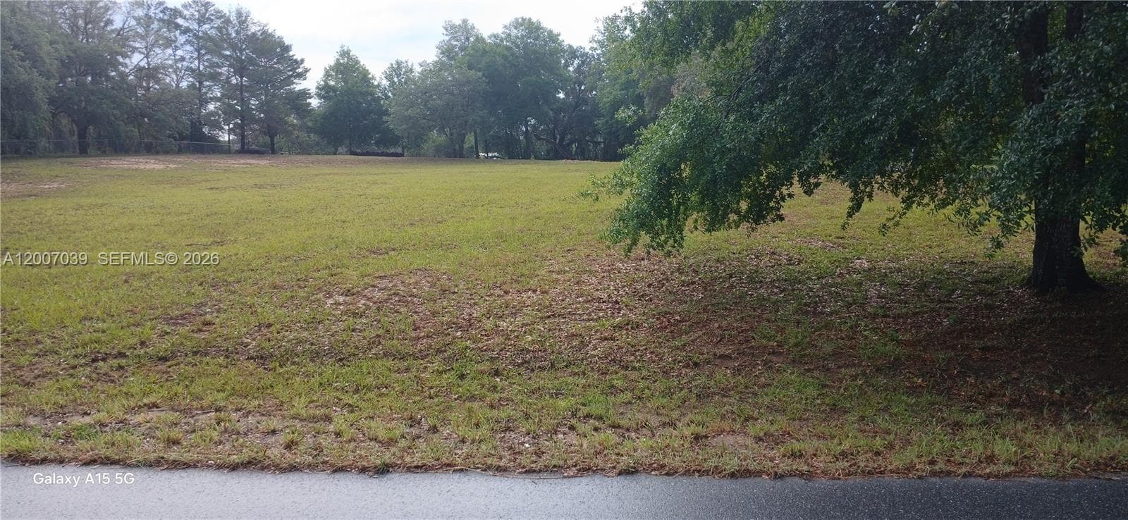 10233 S Appaloosa Ave, Other City - In The State Of Florida FL 34436
