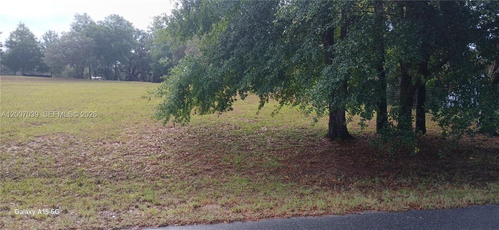 10233 S Appaloosa Ave, Other City - In The State Of Florida FL 34436