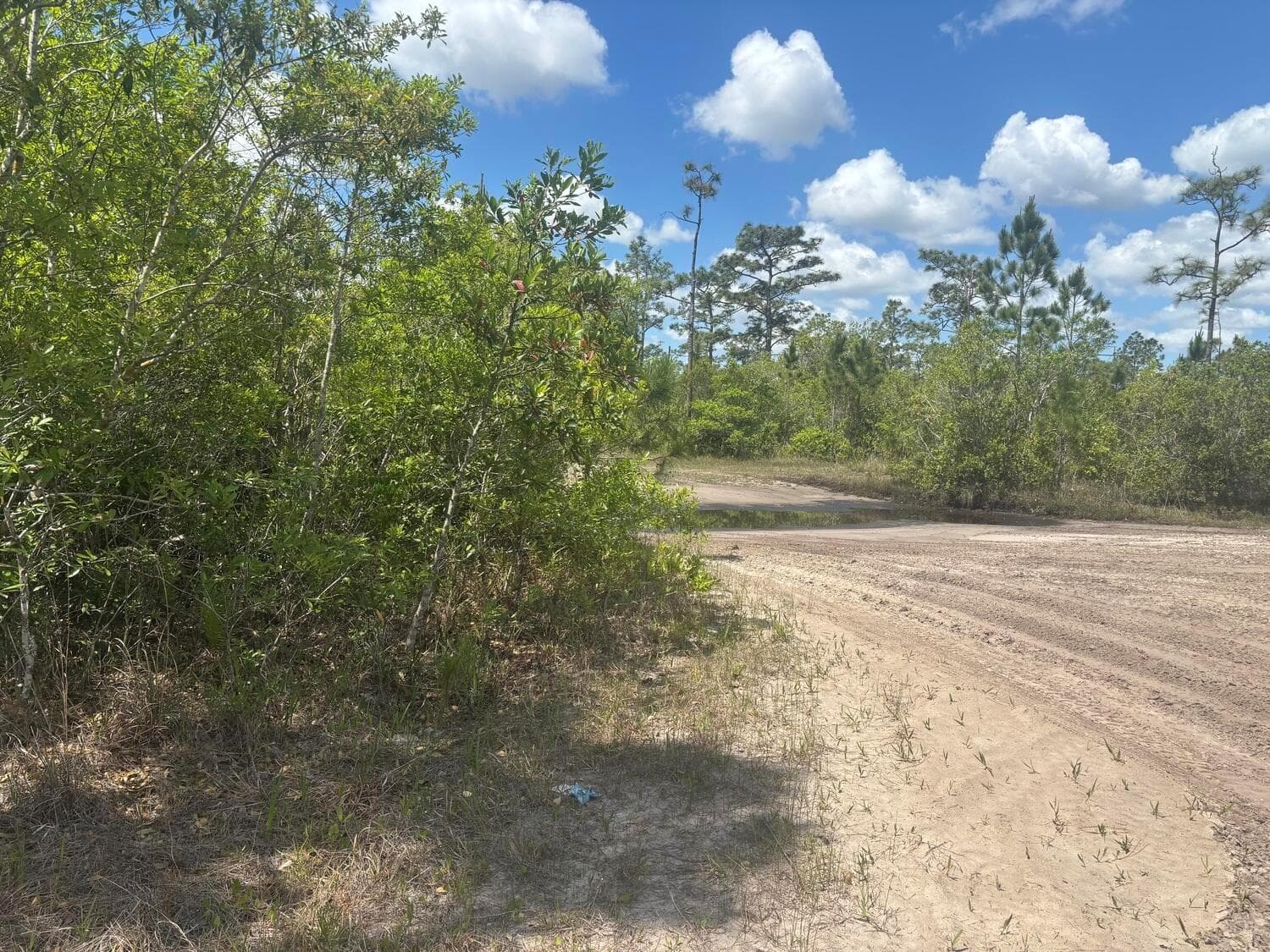 0 Holopaw Groves Road, FL 34772