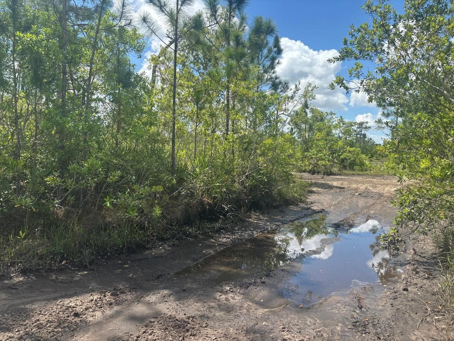 0 Holopaw Groves Road, FL 34772