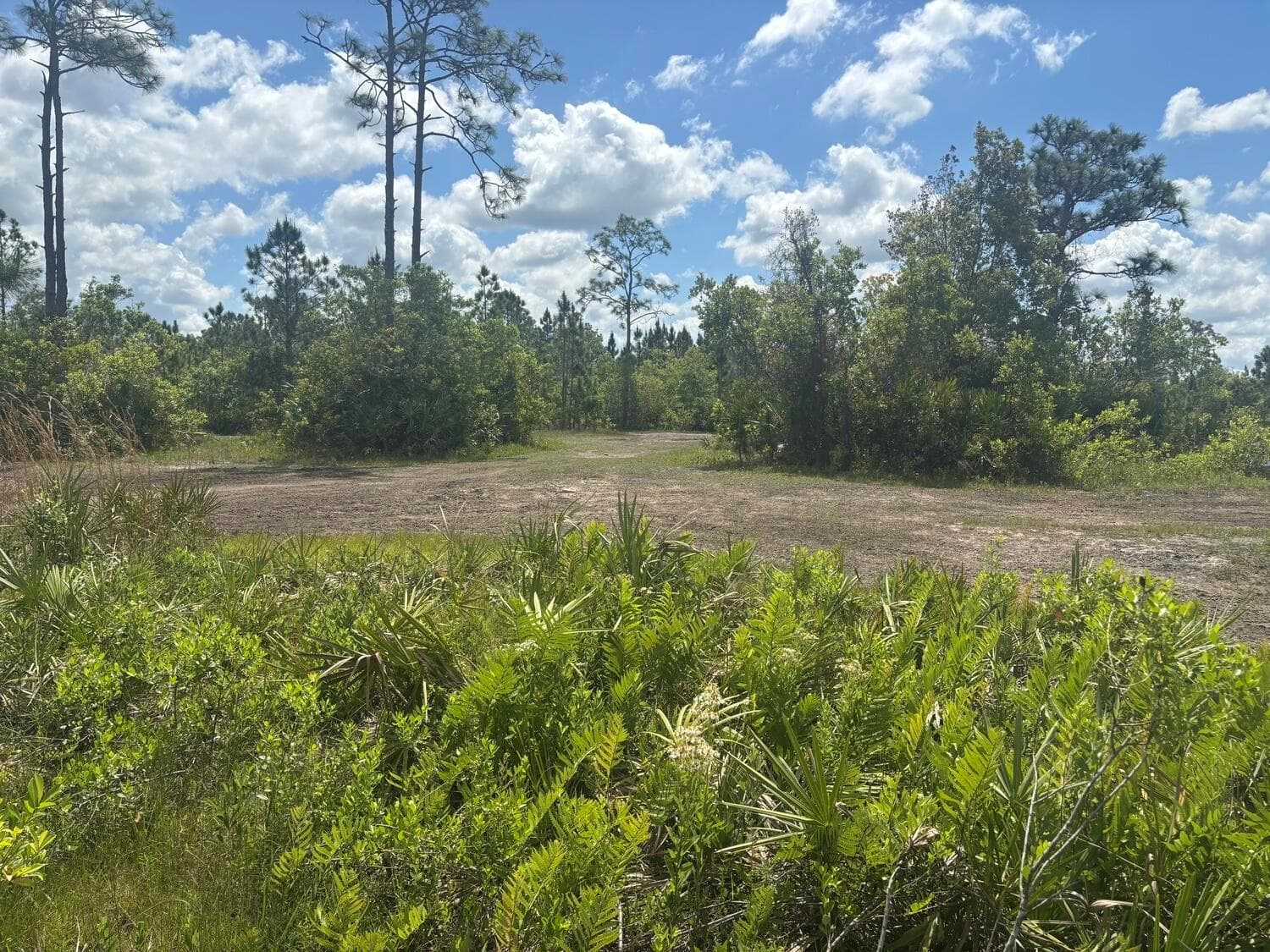 0 Holopaw Groves Road, FL 34772