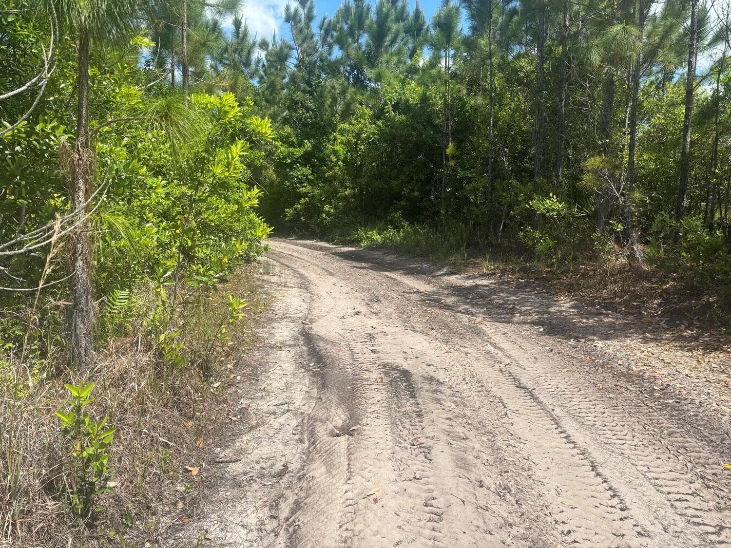 0 Holopaw Groves Road, FL 34772