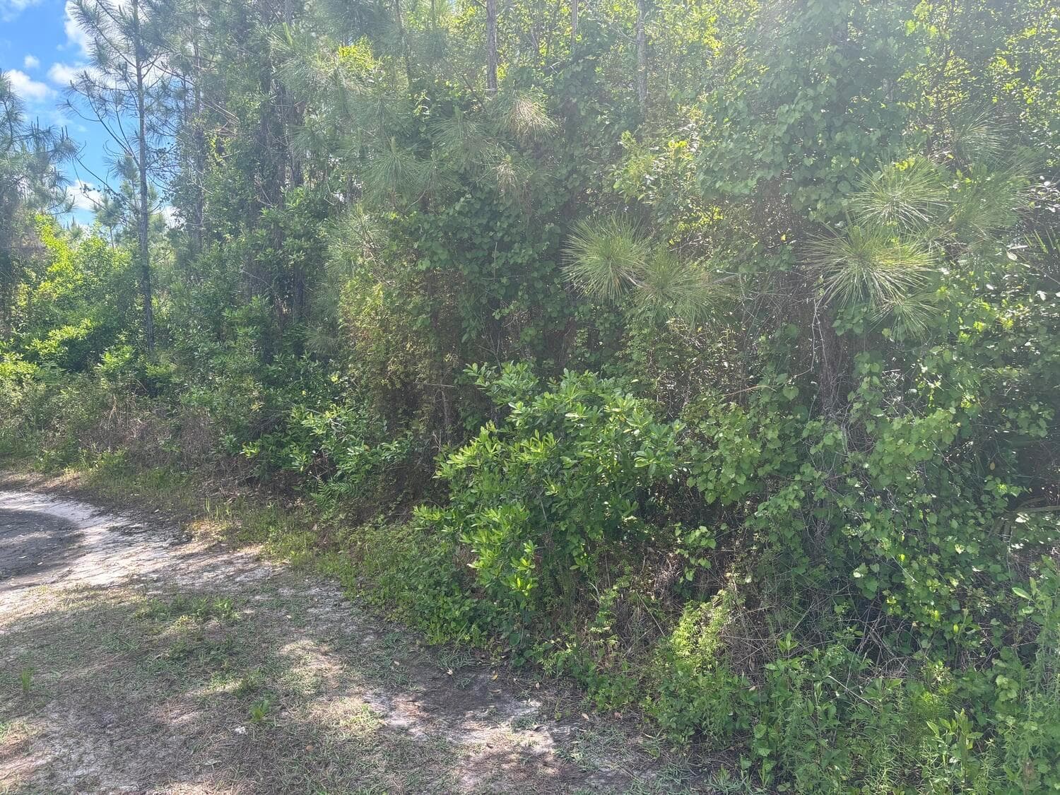 0 Holopaw Groves Road, FL 34772