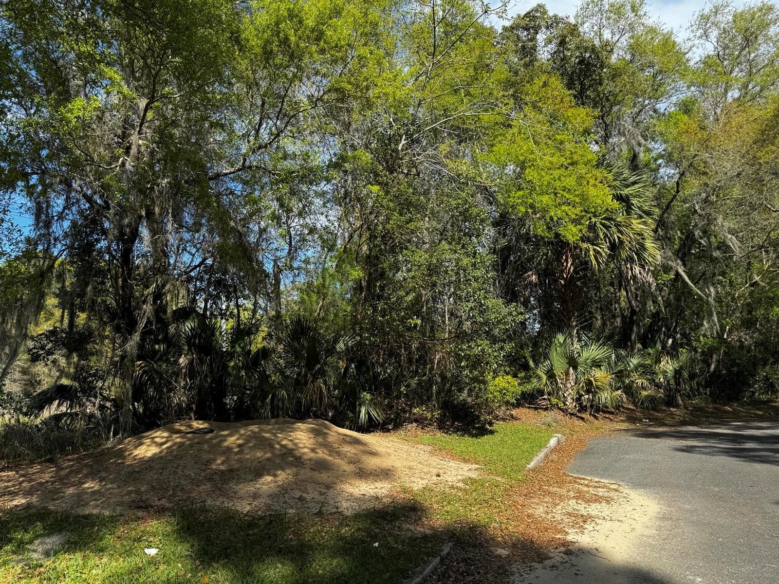Tbd NE 4th Court, Ocala FL 34479