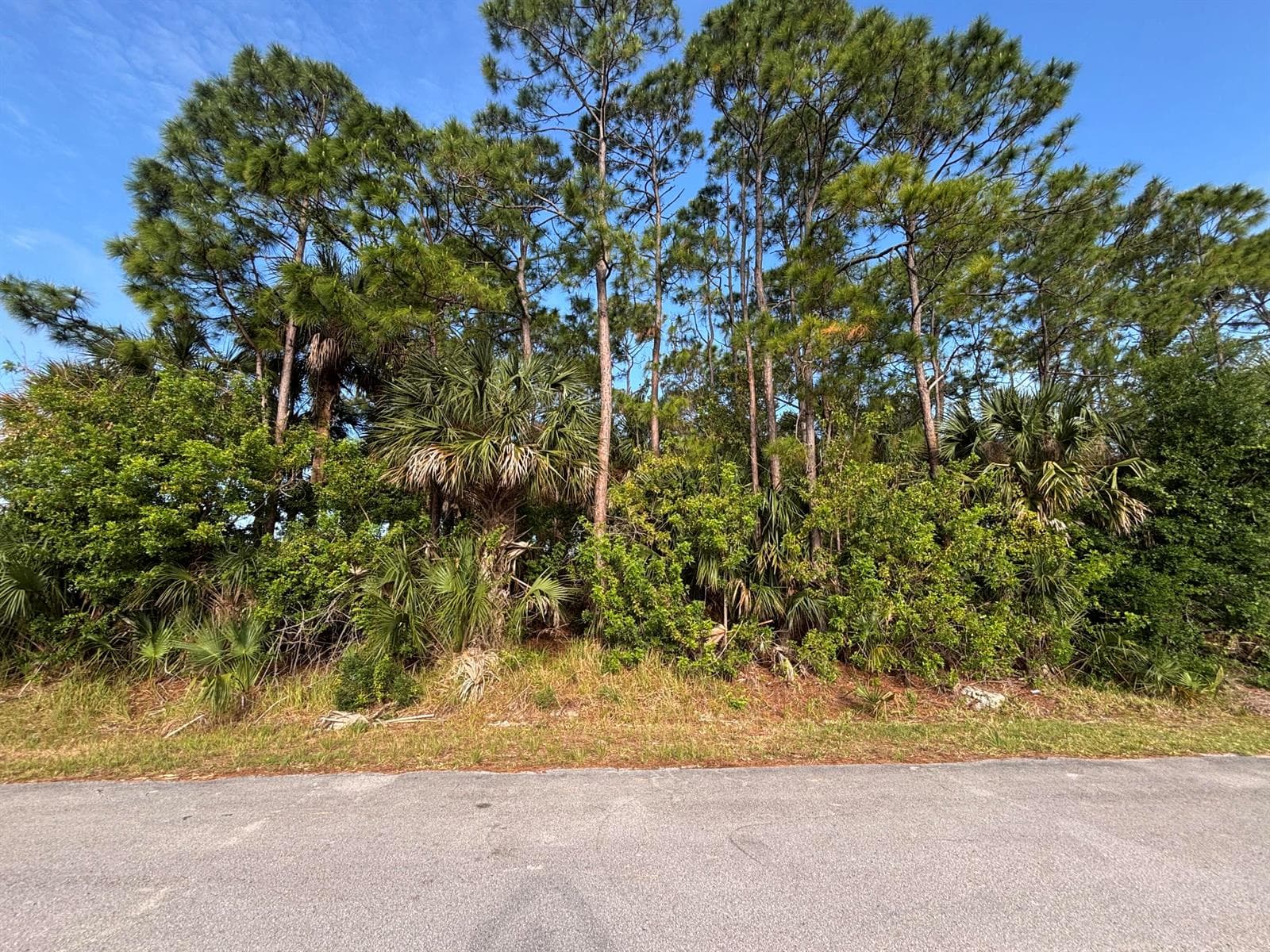 556 NE Burlington Ave Avenue NE, Palm Bay FL 32907