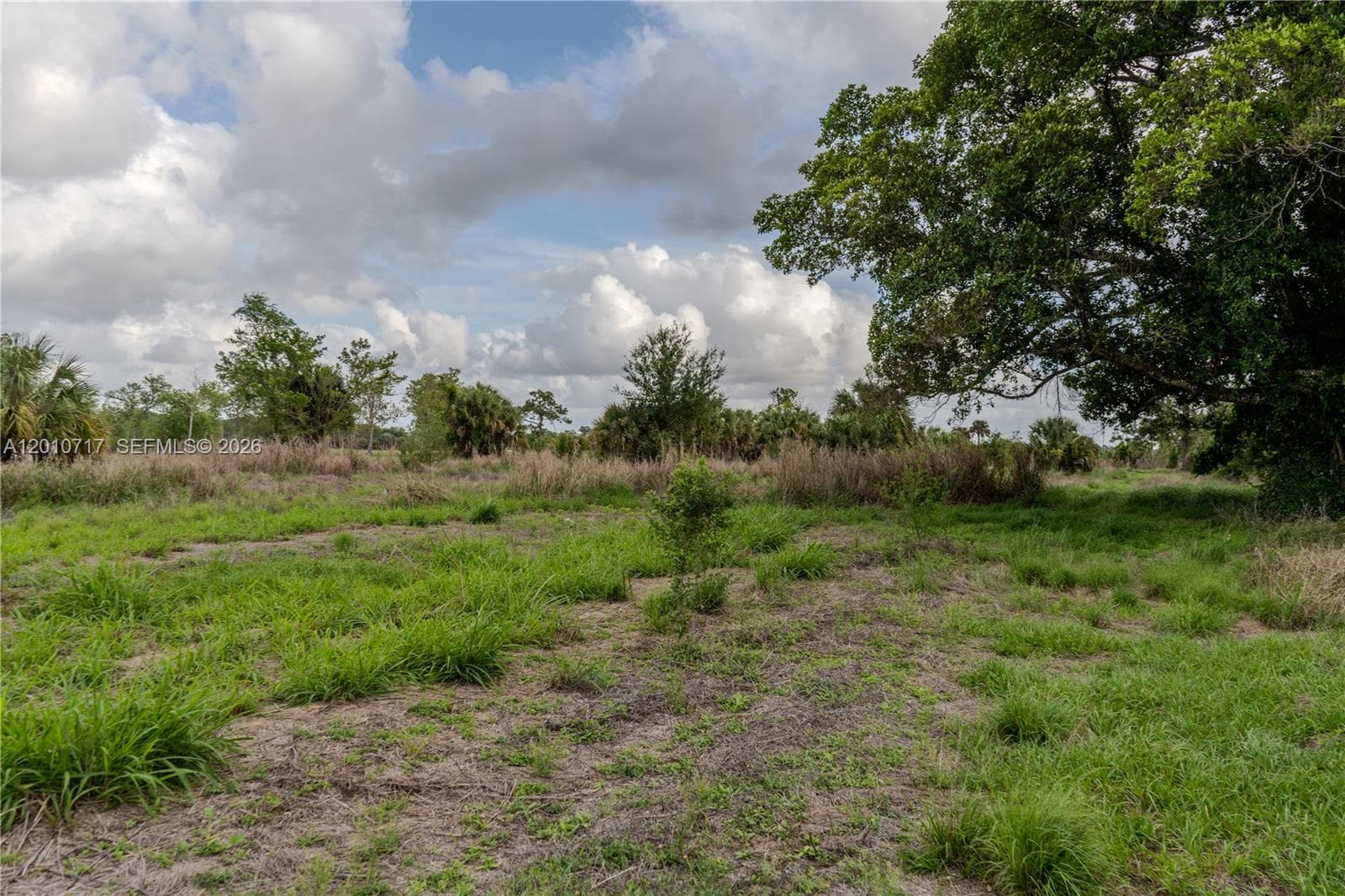 3921 Ft. Denaud Rd, LaBelle FL 33935