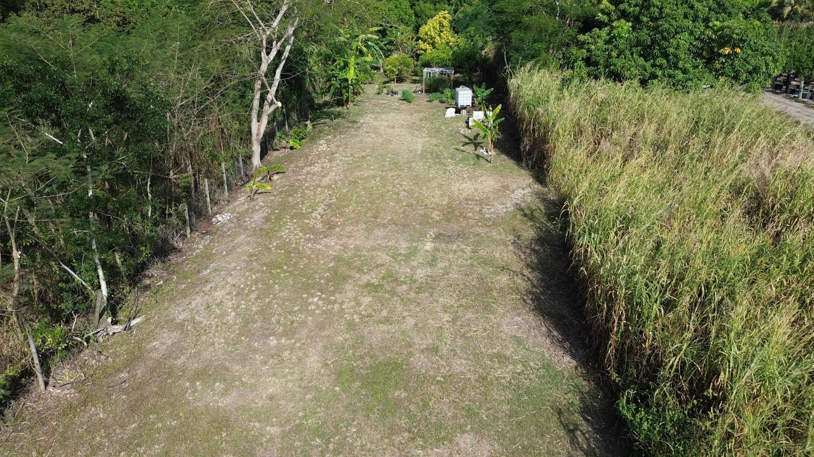 DJI_0124