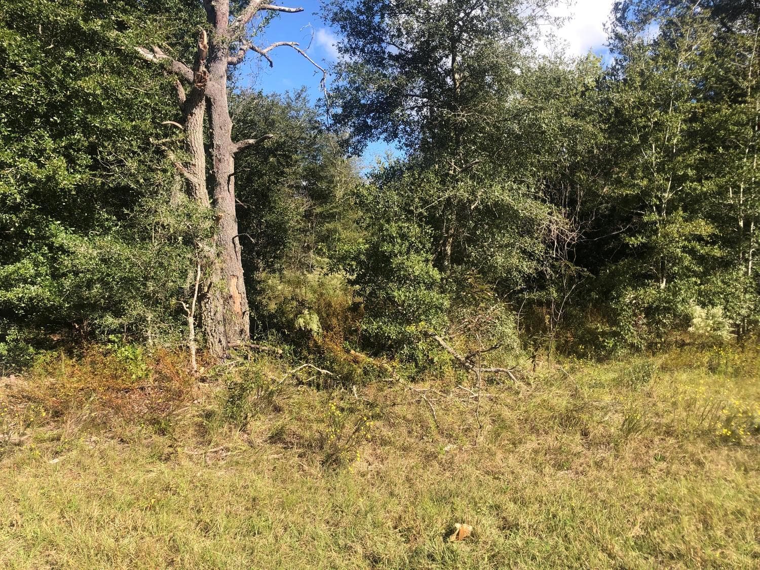 0 Dawn Avenue, FL 32148