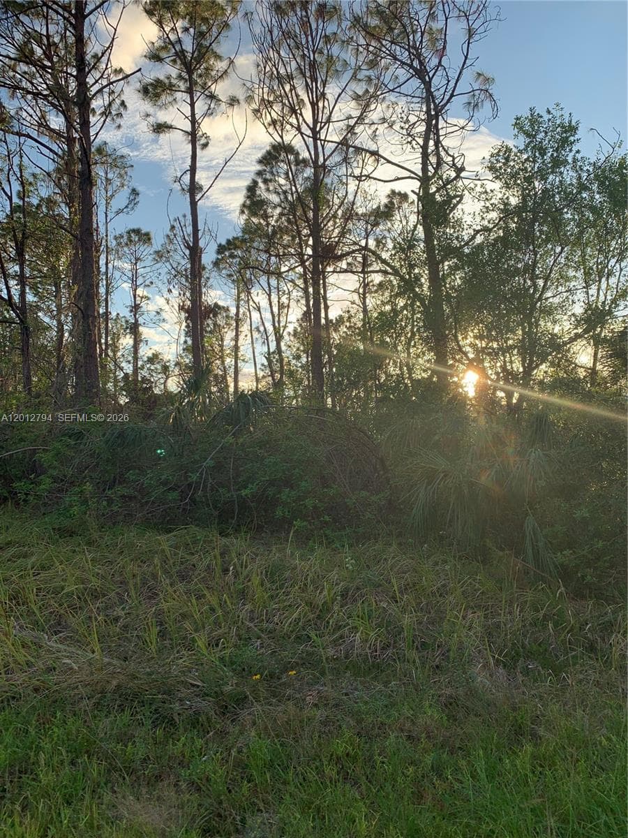 0 Hamerton, North Port FL 34288