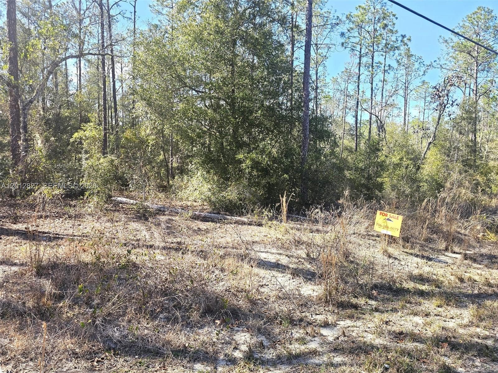 No situs SW Breezy Point DR., Other City - In The State Of Florida FL 34431