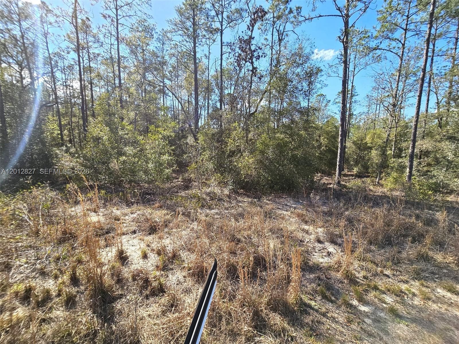 No situs SW Breezy Point DR., Other City - In The State Of Florida FL 34431