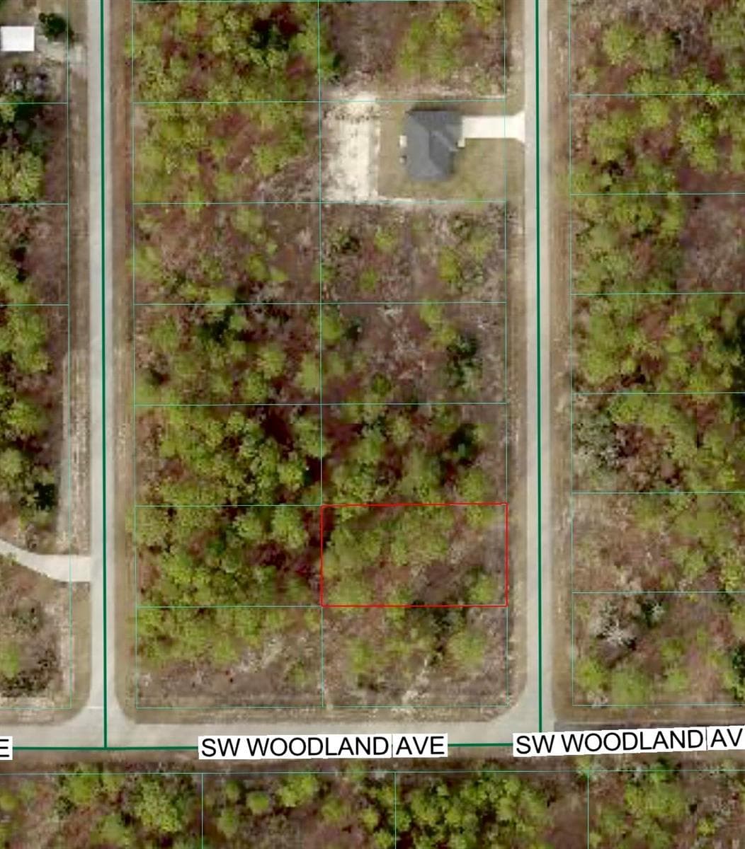 Tbd SW Buena Vista Road, FL 34431