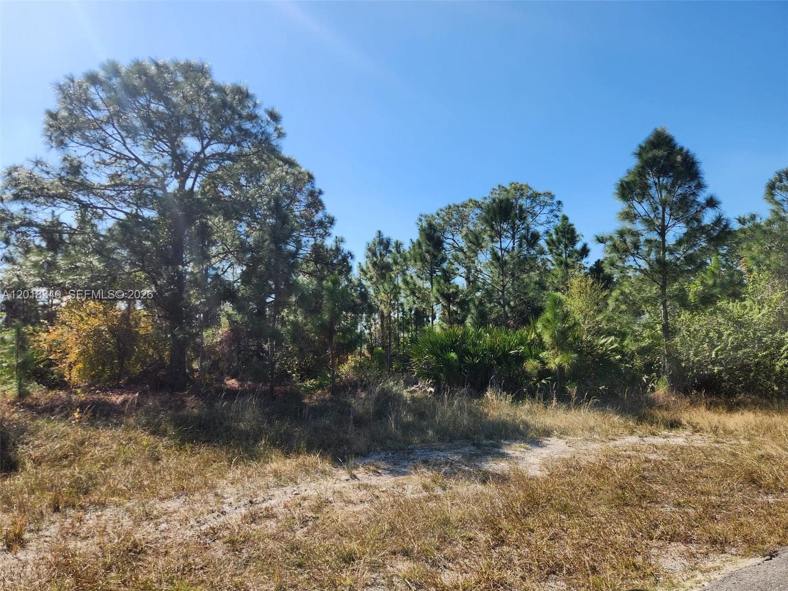 706 JOHNS AVE, Lehigh Acres FL 33972