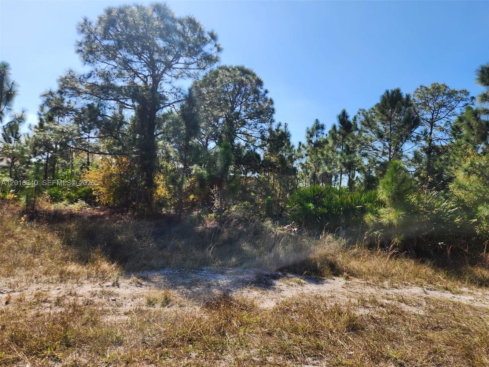 706 JOHNS AVE, Lehigh Acres FL 33972