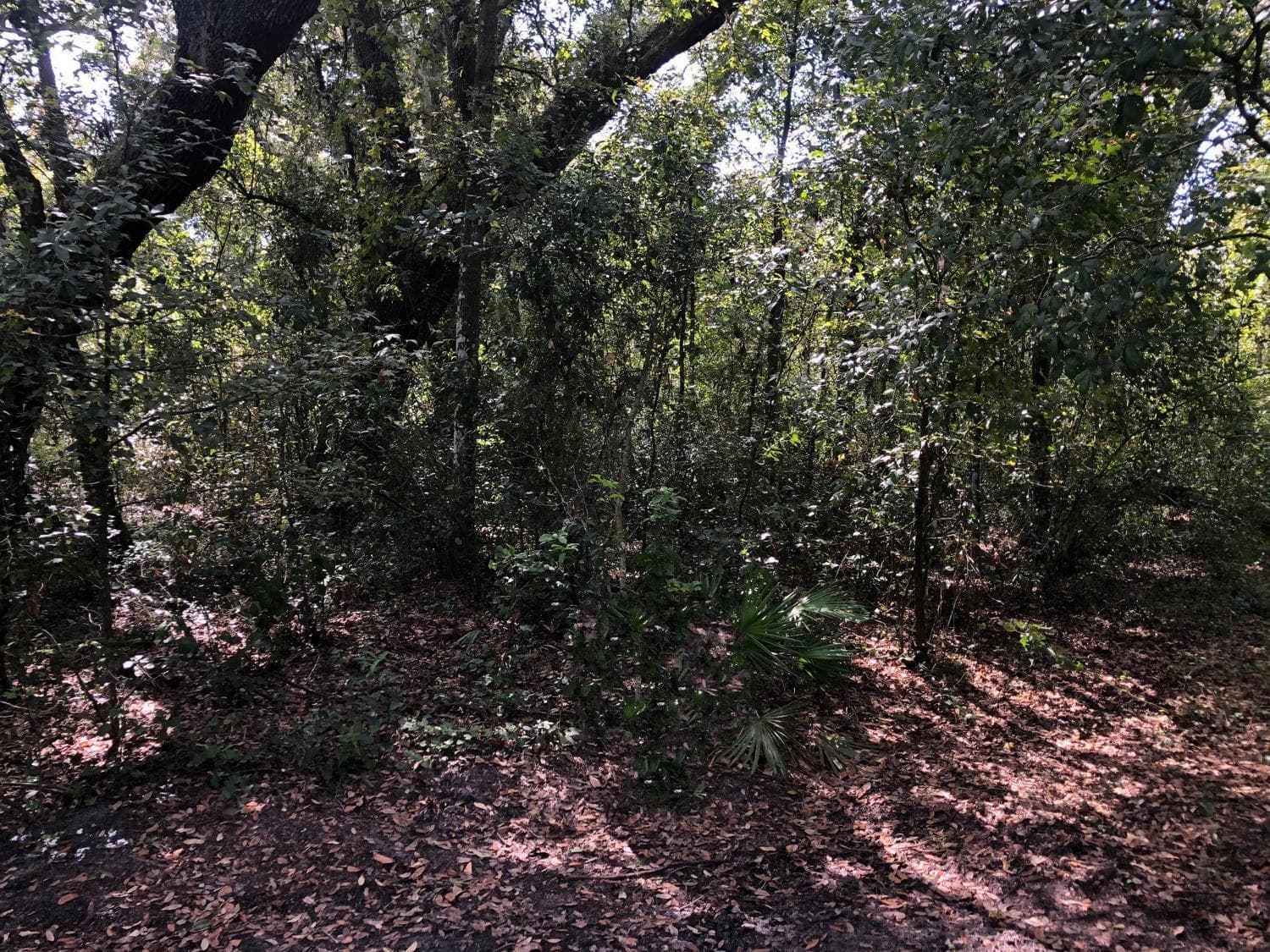 0 Co Rd 54, FL 33849