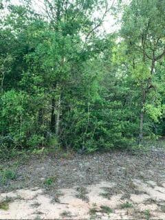 0 Gardenia Drive, FL 32448