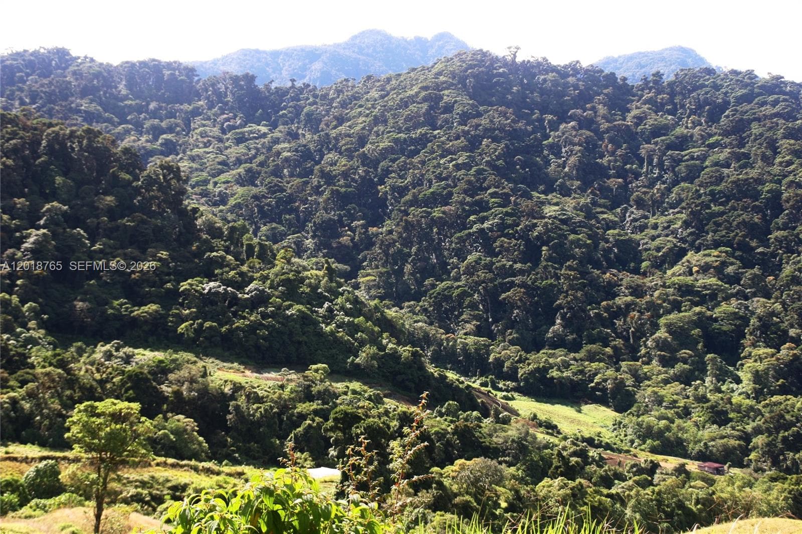 CERRO PUNTA, Panama, Rep of Panama