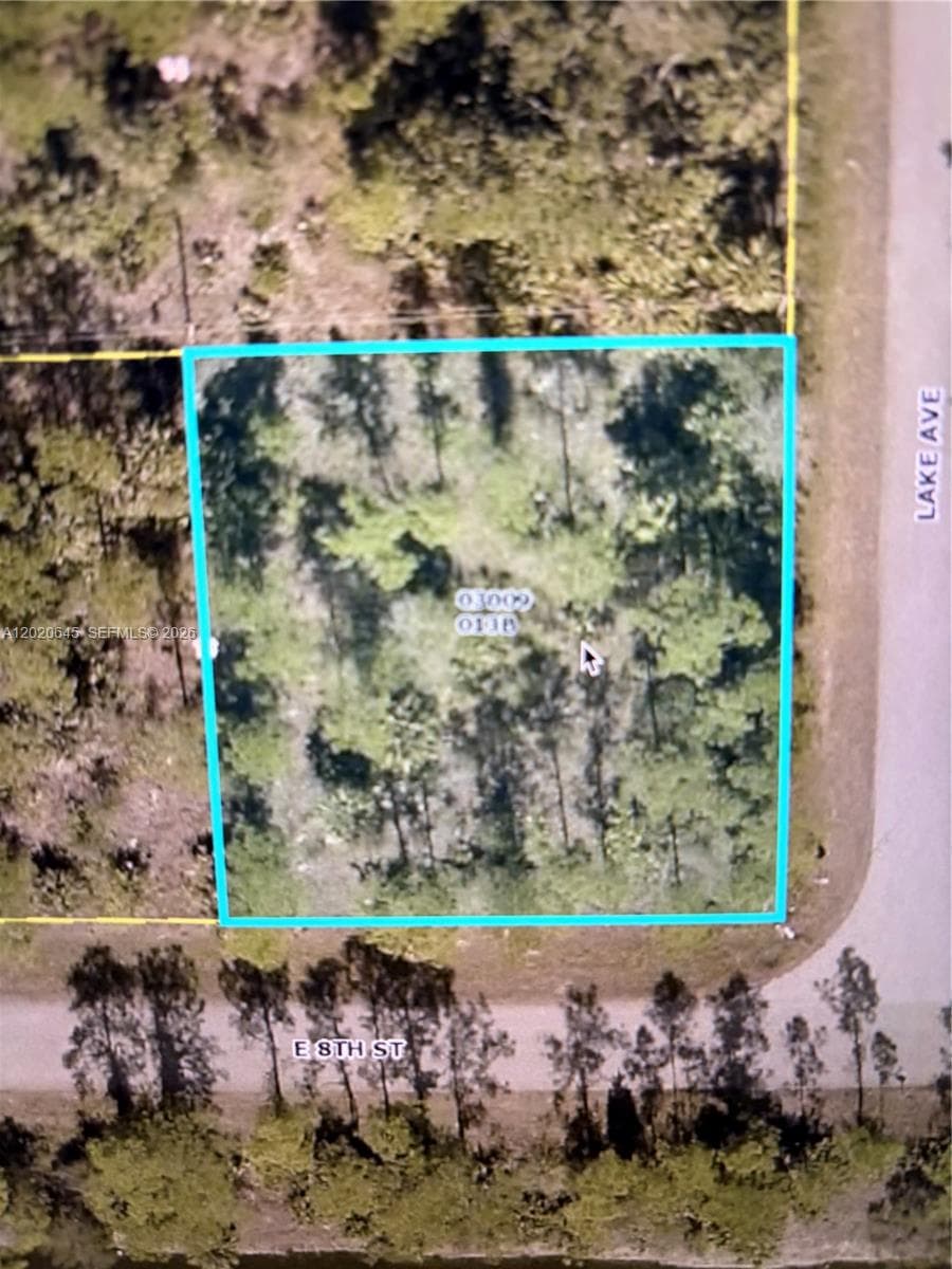 807 8th St E, Lehigh Acres FL 33972