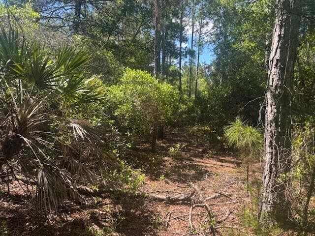 0 Golden Shores Blvd, Mims FL 32754