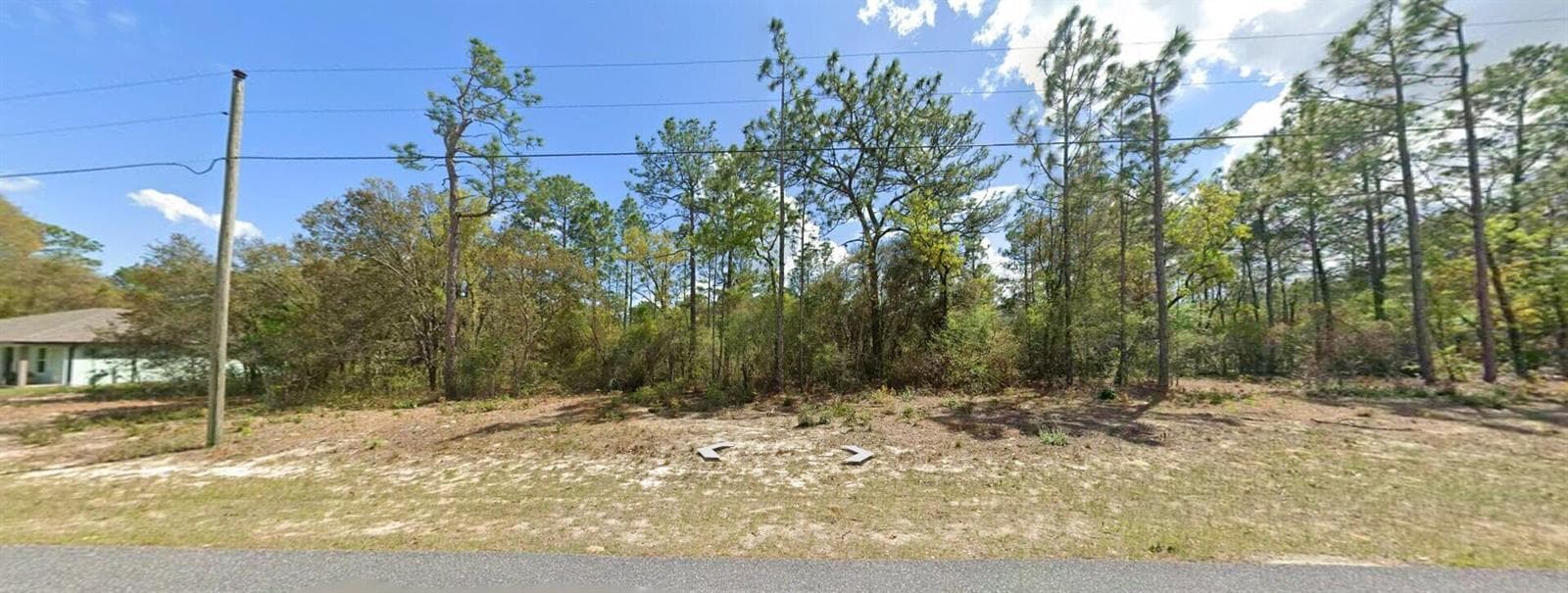 9029 N Saponaria Drive, FL 34433