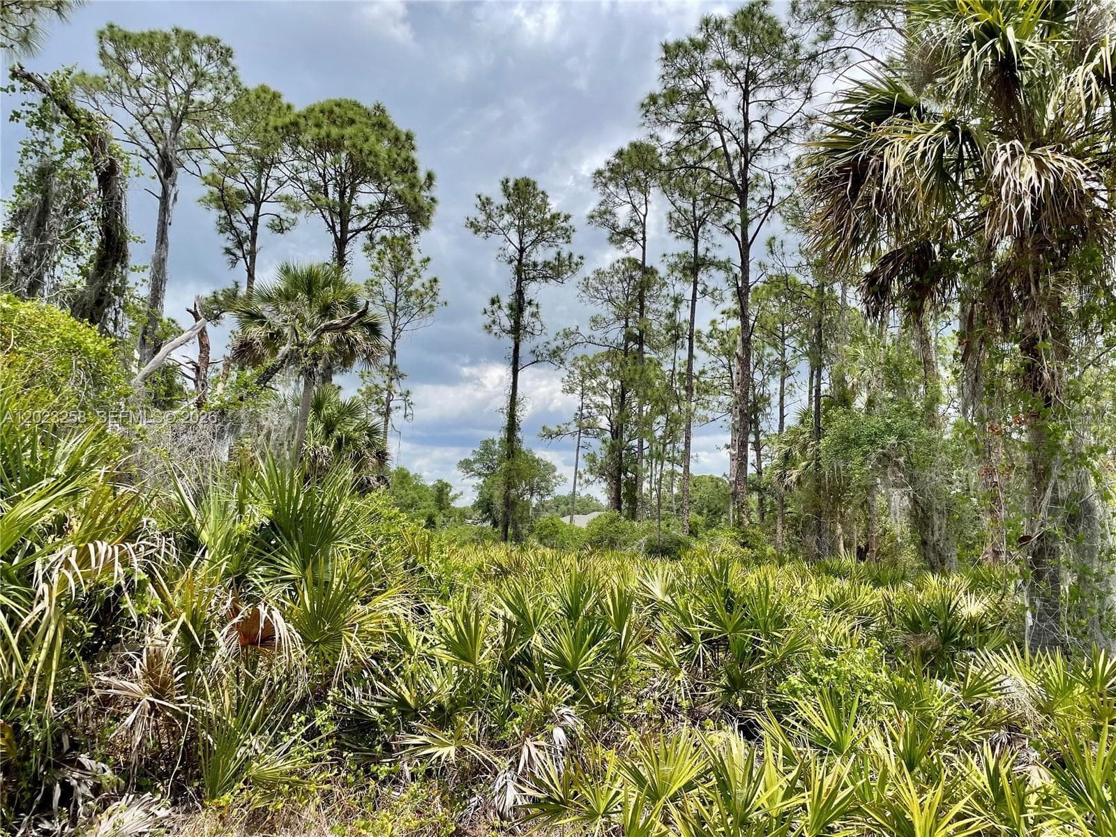 Port Charlotte, FL, 3345