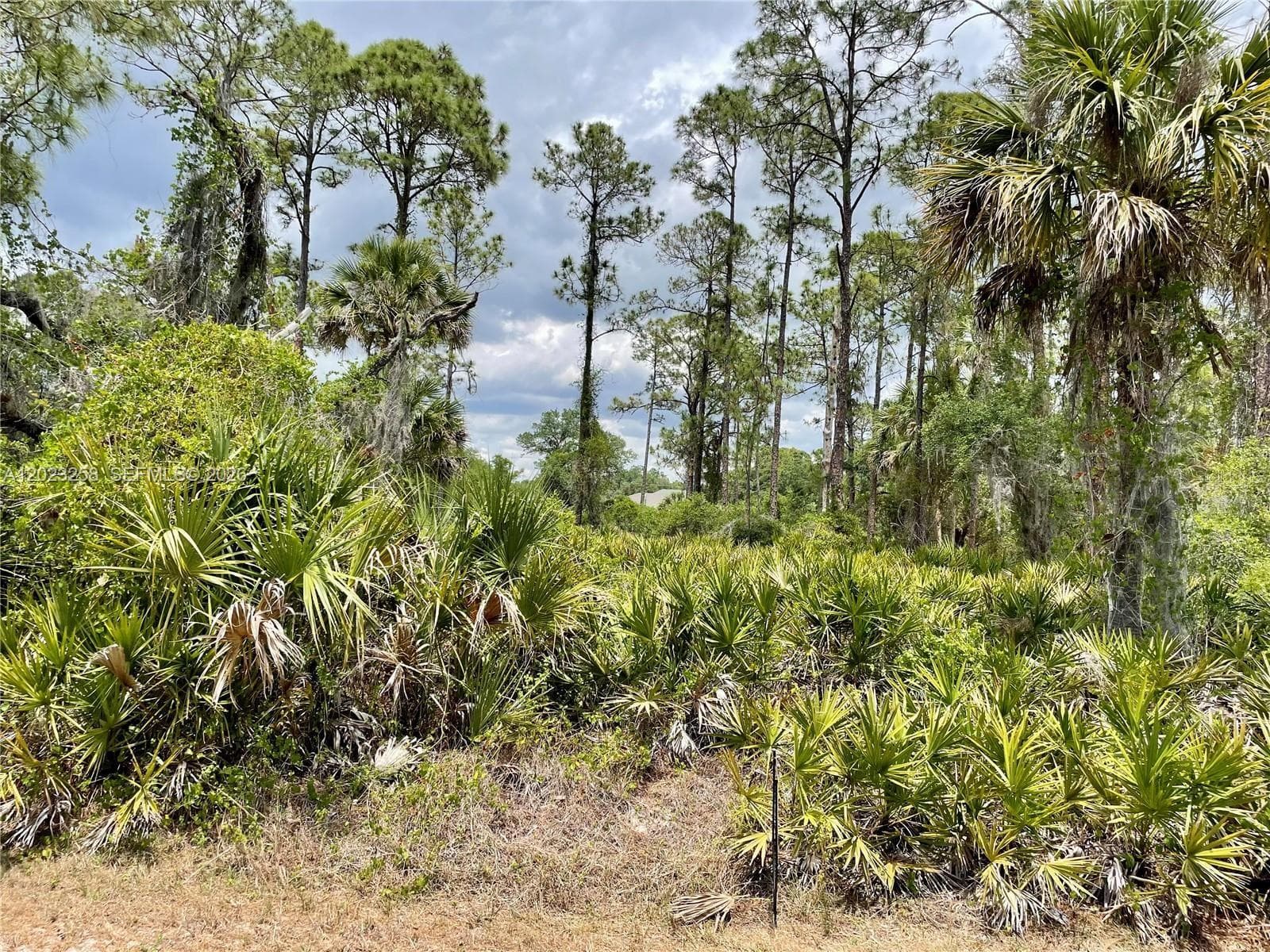 Port Charlotte, FL, 3345