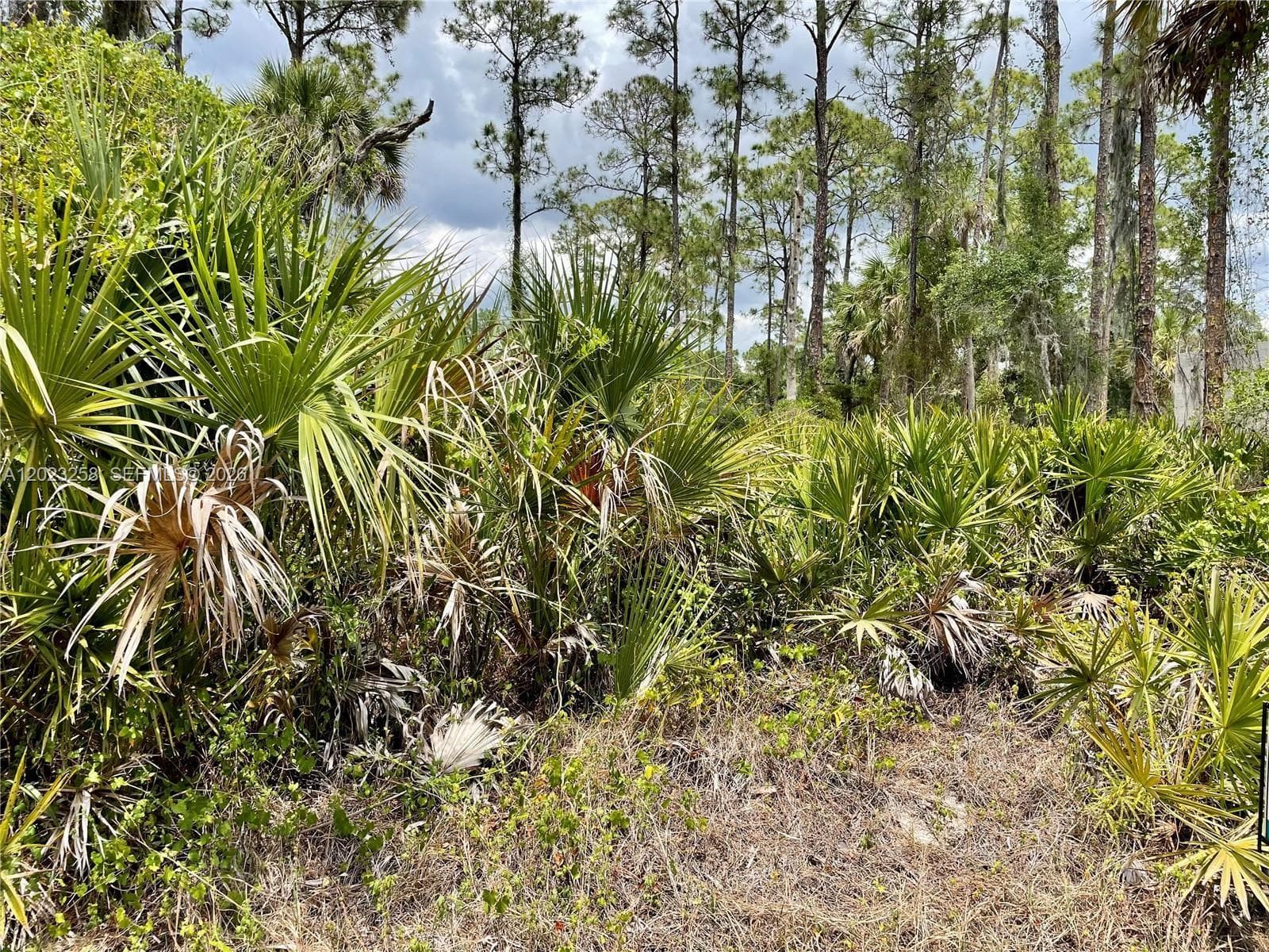 Port Charlotte, FL, 3345