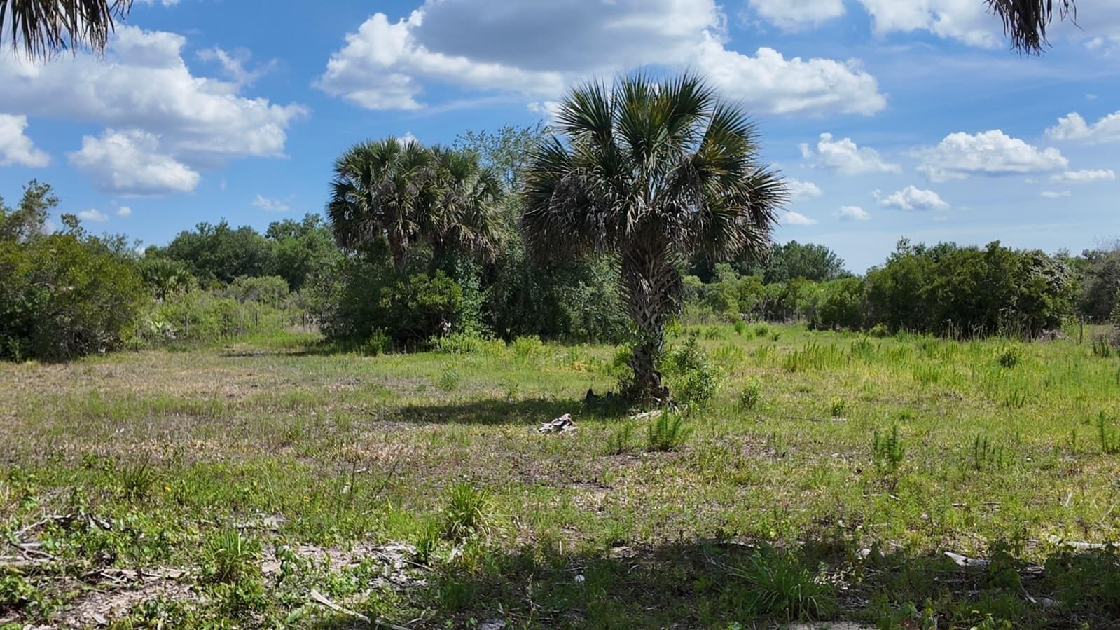 18980 NW 274th Street, Okeechobee FL 34972