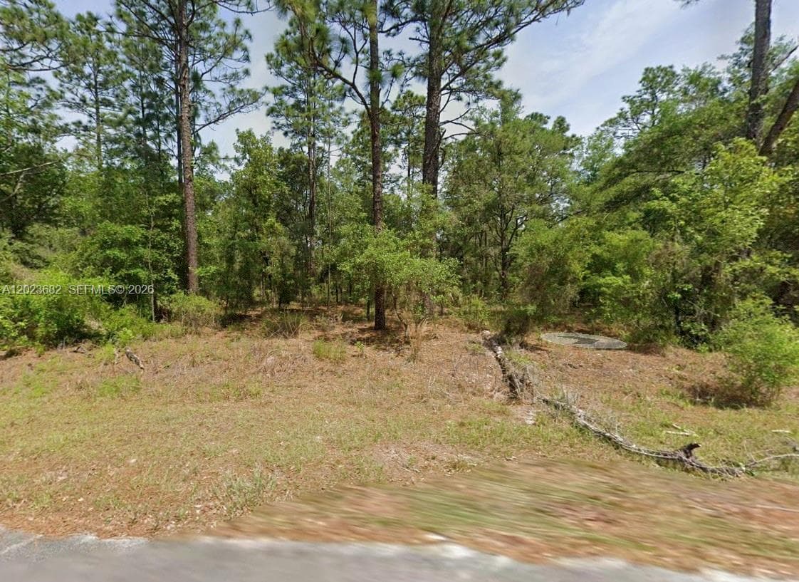 Lot 47 Shamrock Avenue, Other City - In The State Of Florida FL 34431