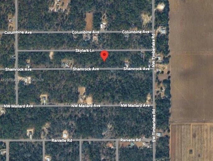 Lot 47 Shamrock Avenue, Other City - In The State Of Florida FL 34431
