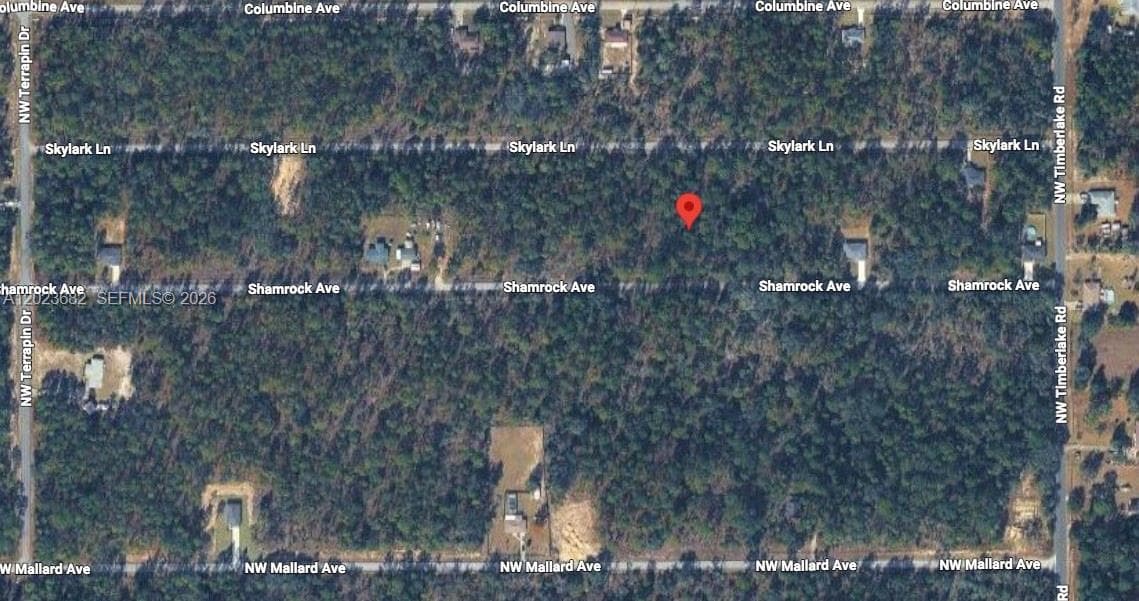 Lot 47 Shamrock Avenue, Other City - In The State Of Florida FL 34431