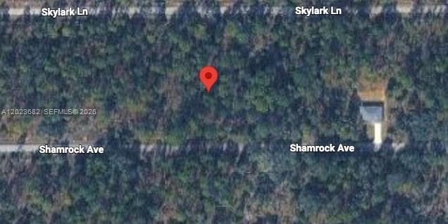 Lot 47 Shamrock Avenue, Other City - In The State Of Florida FL 34431