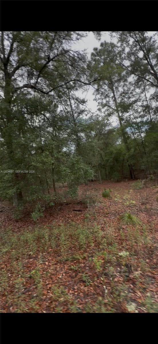 1699 SW 153 Ct, Ocala FL 34481