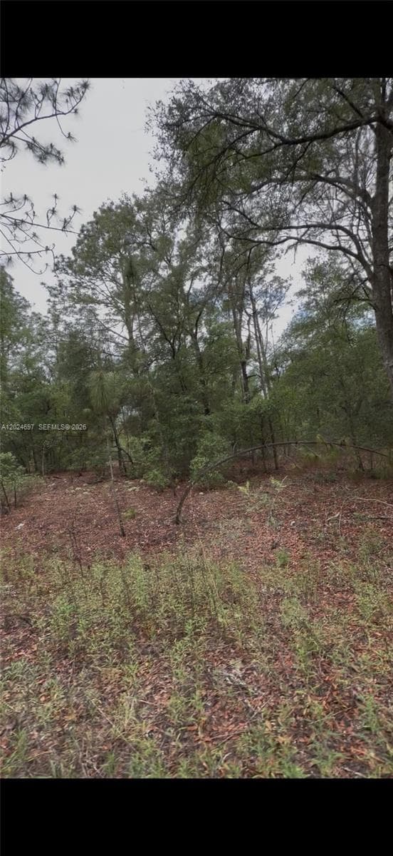 1699 SW 153 Ct, Ocala FL 34481