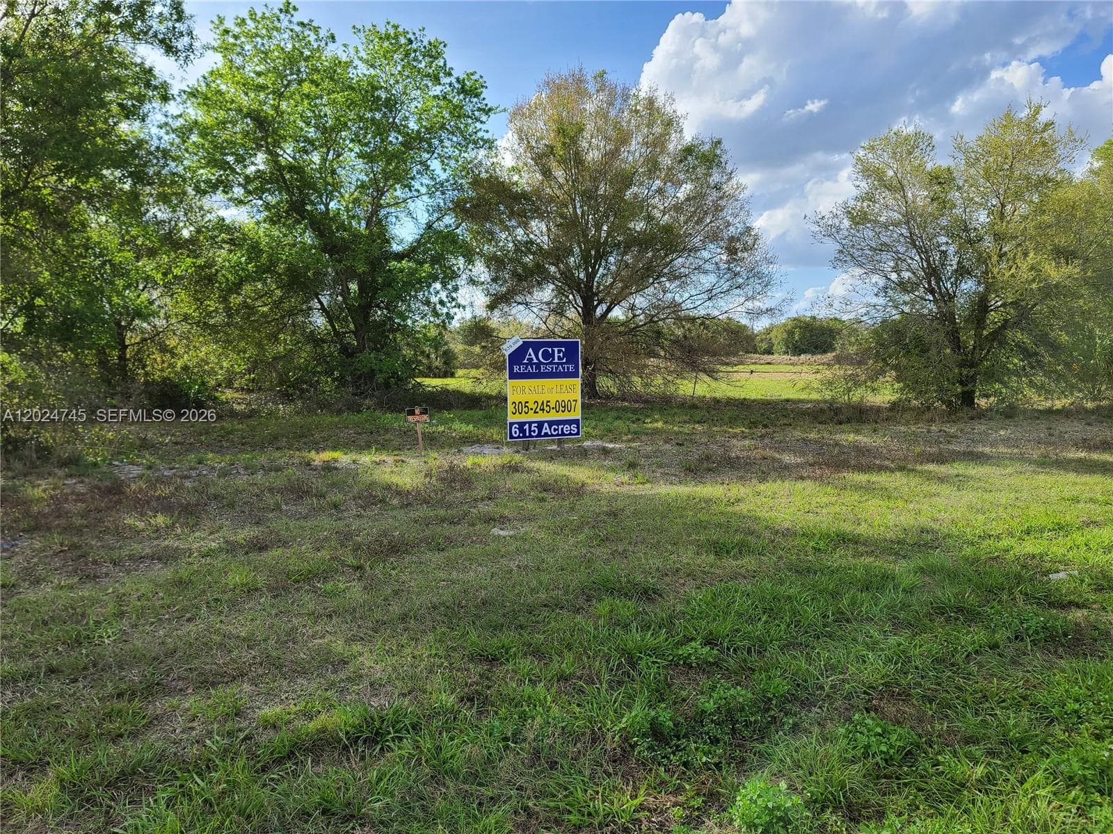1527 N HIGHWAY 17, Unincorporated Dade County FL 34266