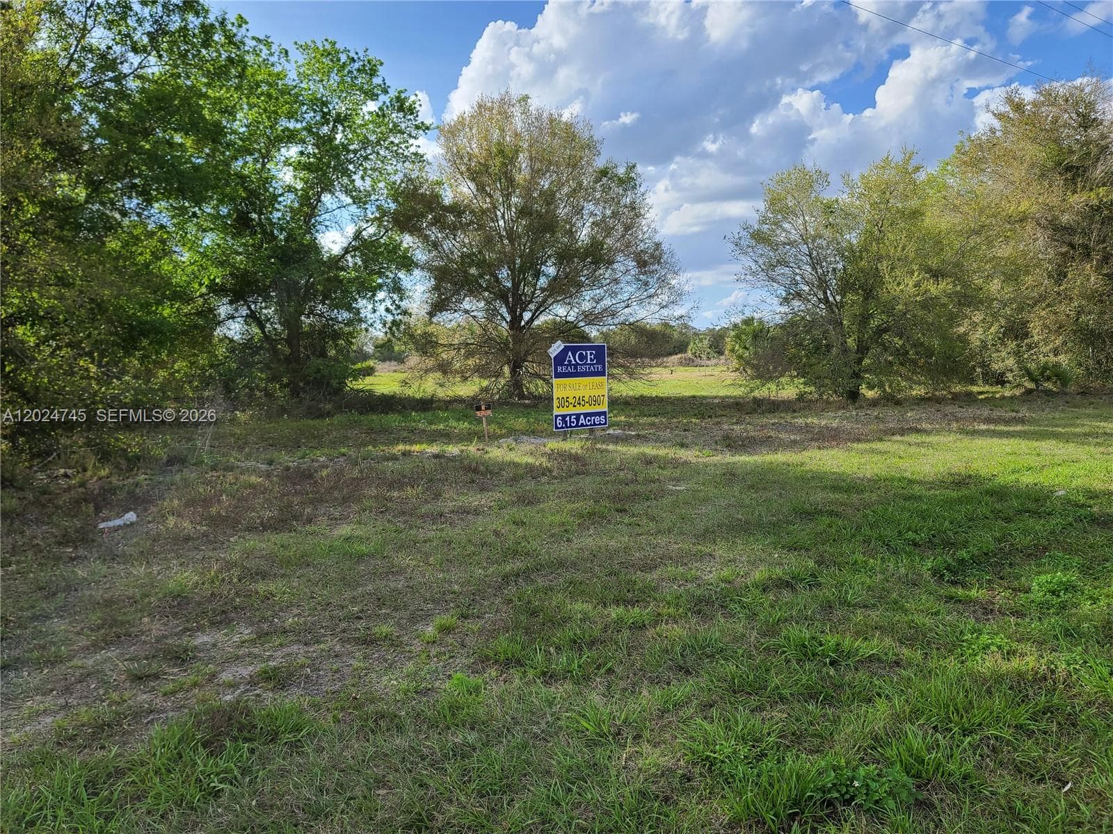 1527 N HIGHWAY 17, Unincorporated Dade County FL 34266