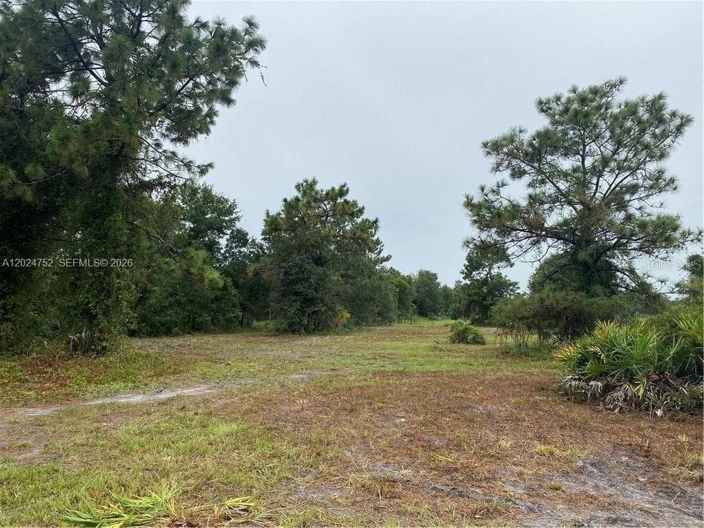 1525 N HIGHWAY 17, Unincorporated Dade County FL 34266