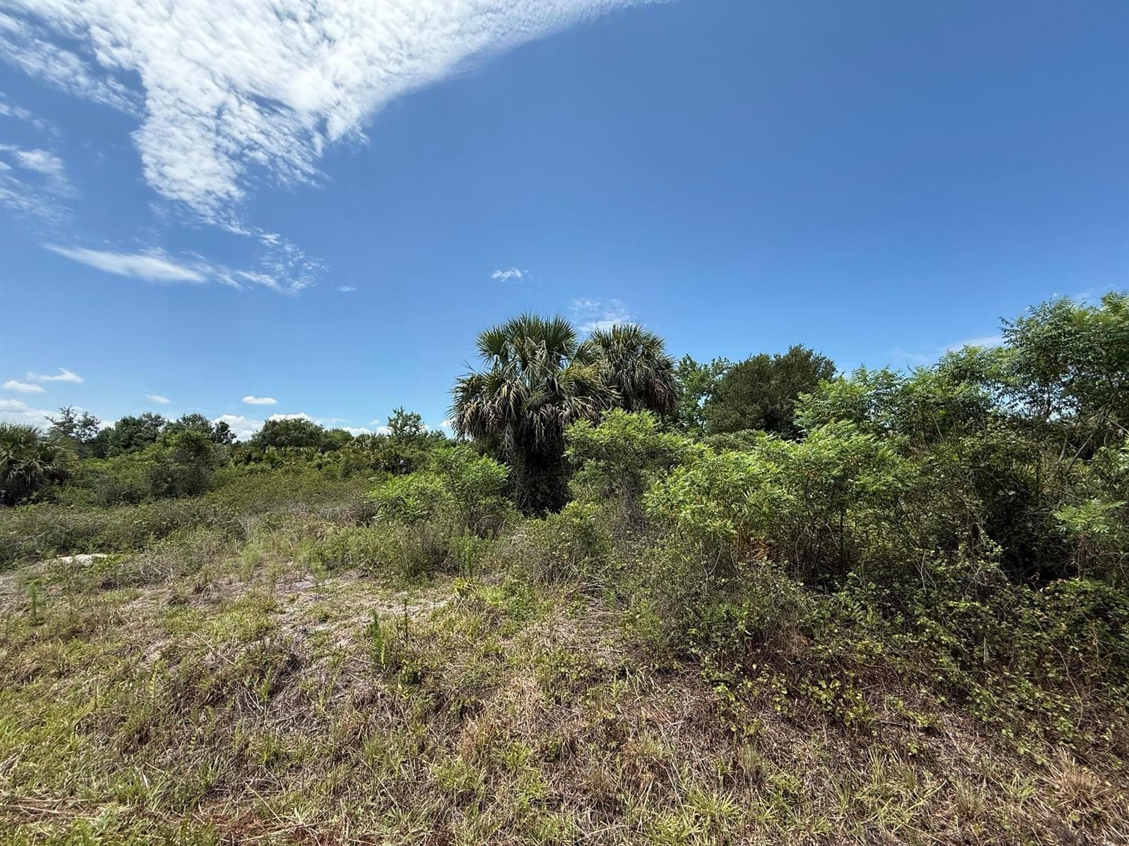 20174 NW 268th Street, Okeechobee FL 34972