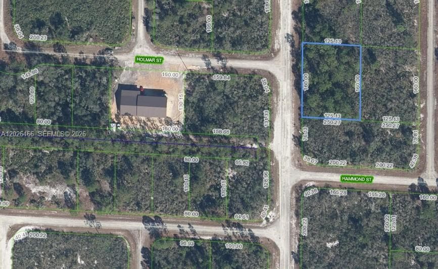 1139 BROOK HOLLOW RD, Lake Placid FL 33852