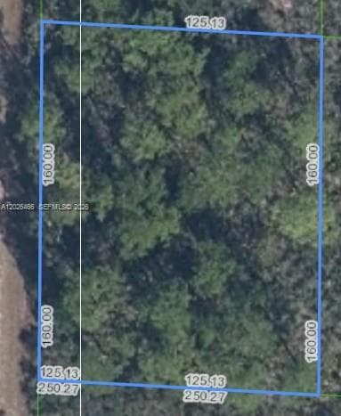 1139 BROOK HOLLOW RD, Lake Placid FL 33852