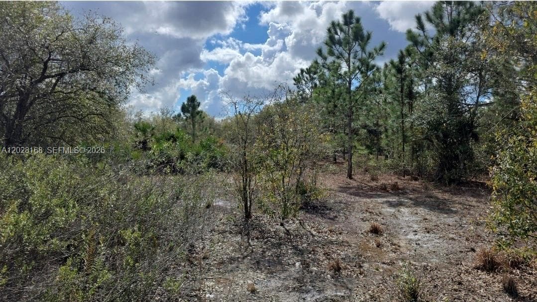 17718 NW 282nd St, Okeechobee FL 34972