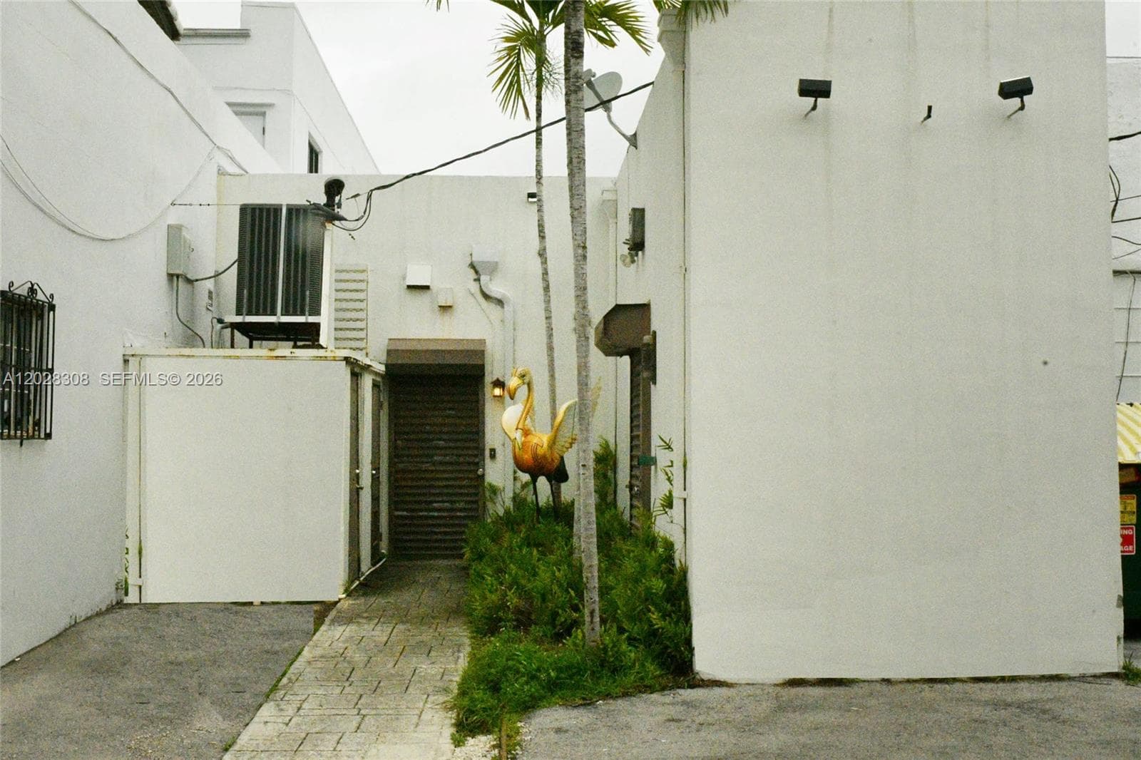 Rear View